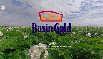 Basin Gold video placeholder